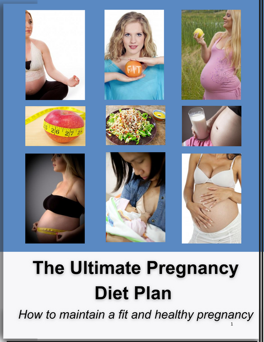 The Pregnancy Diet Plan